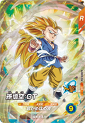 SDV10-014