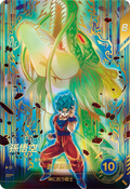 SDV11-030 P