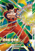 SDVBS-002
