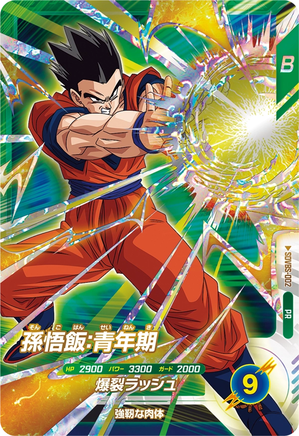 SDVBS-002