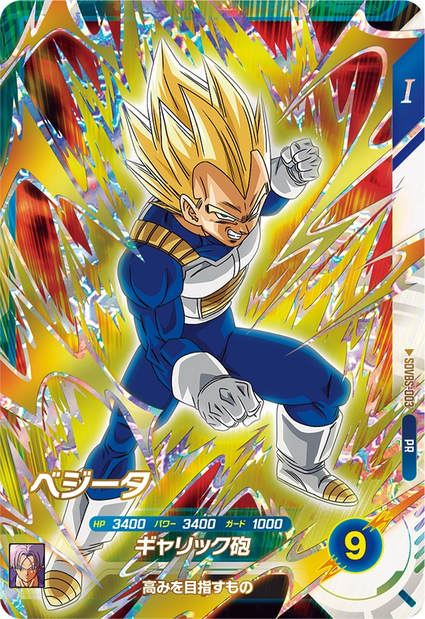 SDVBS-003