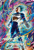 SDVP-021