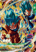 SDVP-026