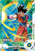 SDVPJ-009