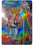 SDV7-062 P