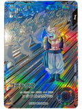 SDV6-040 P